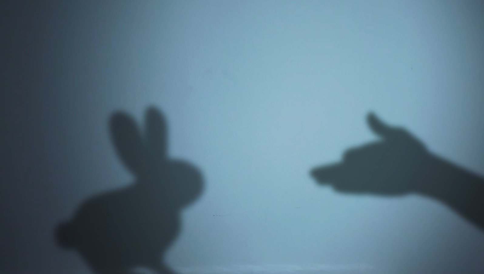 Ombres xineses d'un conill i un llop projectades sobre una paret blava
